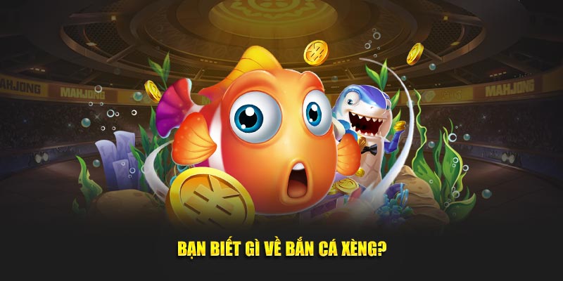 Bạn biết gì về bắn cá Xèng?