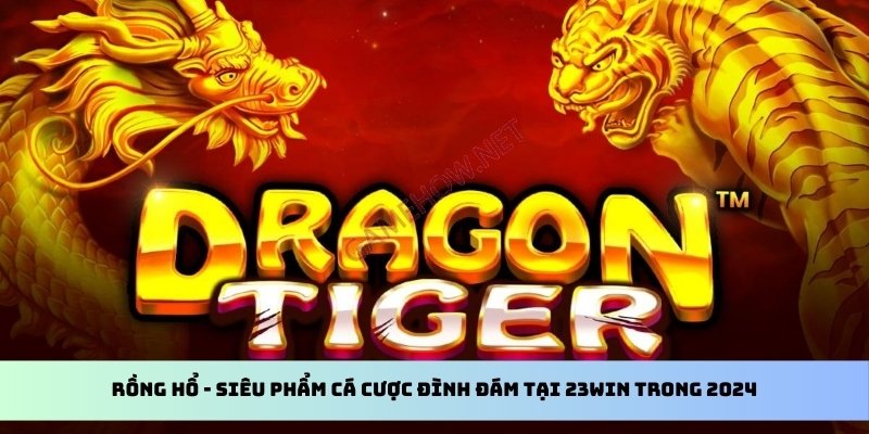 ảnh đại diện rồng hổ 23win