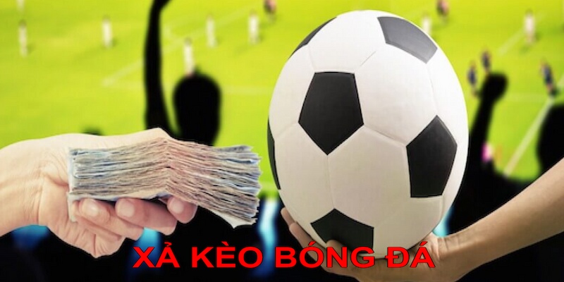 ảnh đại diện xả kèo bóng 23win